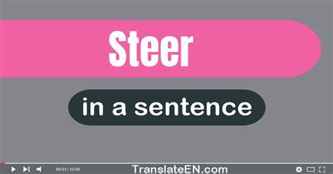 Steer In A Sentence .